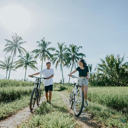 Dukuh Sebatu Villa Ubud Tegallalang  Εξωτερικό φωτογραφία